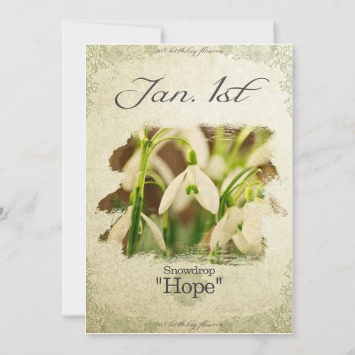 Birthday flowers on January 1st Snowdrop Card