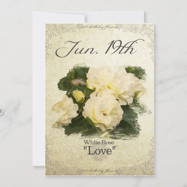 Birthday flowers on June 19th "White Rose" Card (Front)