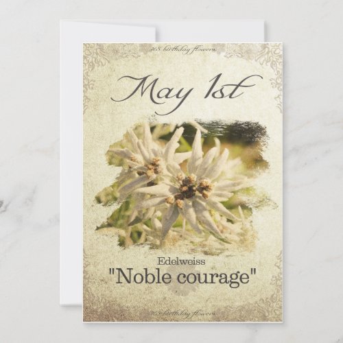 Birthday flowers on May 1st Edelweiss Card