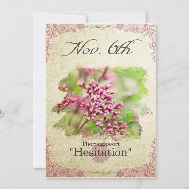 Birthday flowers on November 6th "Thoroughwort" Card (Front)