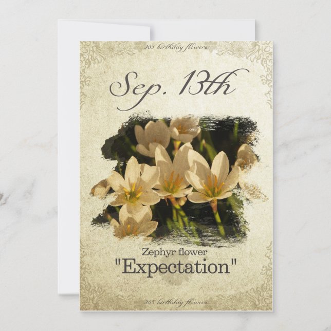 Birthday flowers on September 13th "Zephyr flower" Card (Front)