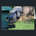 Birthday for Birth Son Blue Jay on Bird Feeder<br><div class="desc">A Blue Jay at a bird feeder is featured on this birthday card for a birth son. Great card for the bird watcher in your life. Image and verse copyright ©  Shoaff Ballanger Studios.</div>