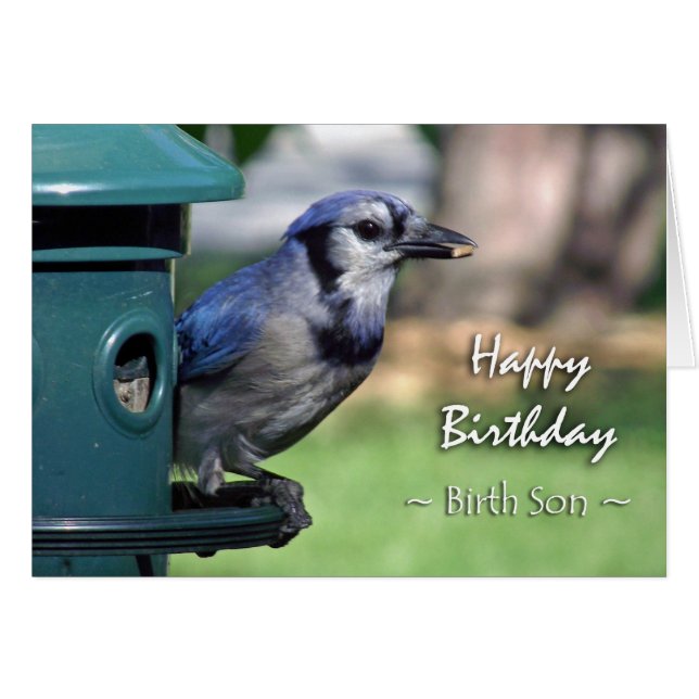 Birthday for Birth Son Blue Jay on Bird Feeder (Front Horizontal)