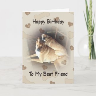 Birthday For Friend With Two Mixed Breed Dogs Card