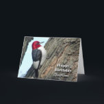 Birthday for Girlfriend, Red-headed Woodpecker Card<br><div class="desc">A Red-headed Woodpecker is featured on this birthday (BIRDday) card for a girlfriend.</div>