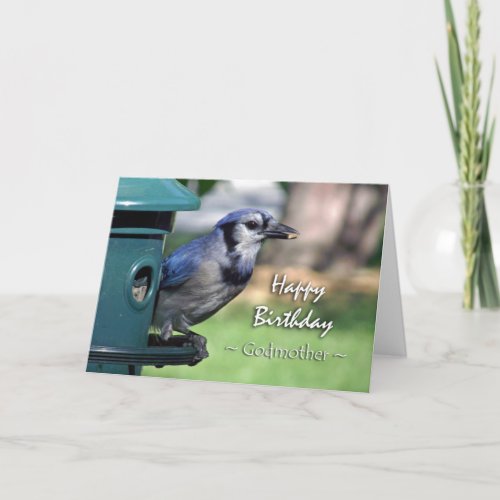 Birthday for Godmother Blue Jay at Bird Feeder Card