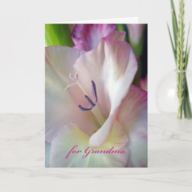 Birthday for Grandma, Pink Gladiolus, Macro Photo Card (Front)