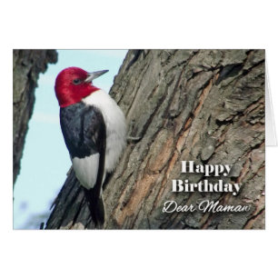 Birthday for Mamaw, Red-headed Woodpecker Cards
