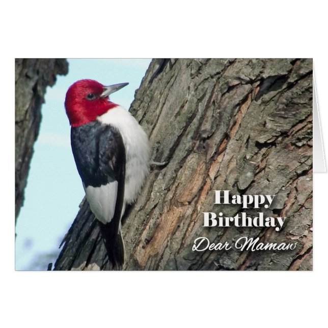 Birthday for Mamaw, Red-headed Woodpecker Cards (Front Horizontal)