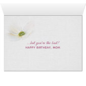 birthday for Mom-crabapple blossoms (Inside Horizontal (Bottom))