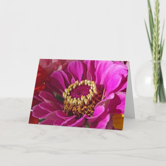 Birthday for Mom, Pink Zinnia Flower Card (Front)