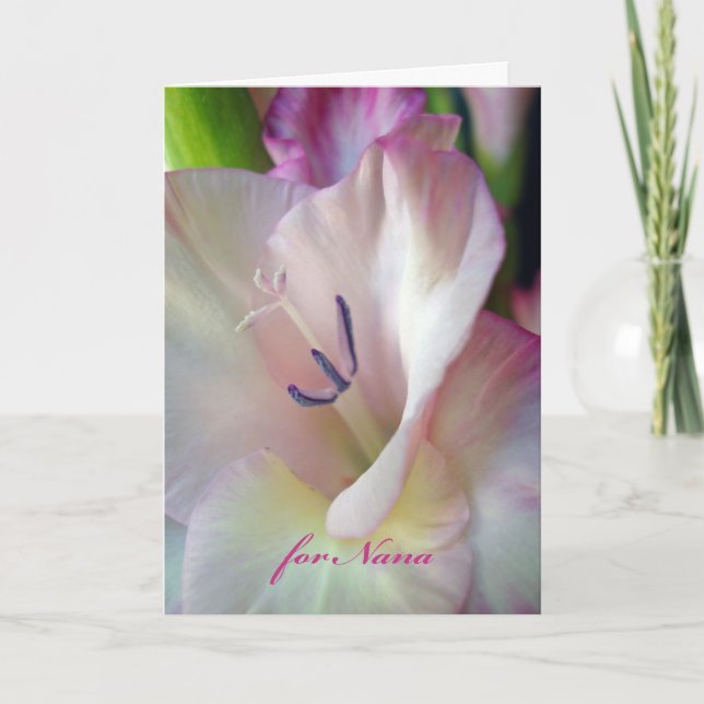 Birthday for Nana, Pink Gladiolus, Macro Photo Card (Front)