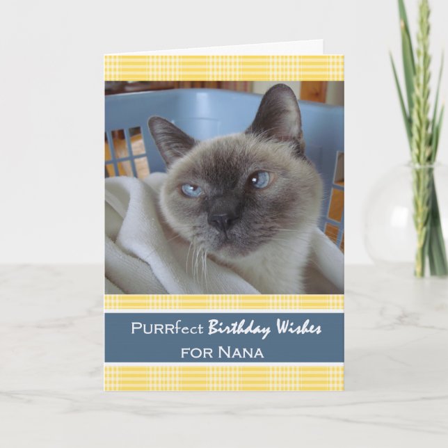 Birthday for Nana, Siamese Cat in Laundry Basket Card (Front)