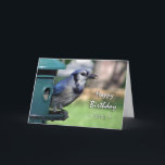 Birthday for Sister, Blue Jay at Bird Feeder Card<br><div class="desc">A Blue Jay at a bird feeder is featured on this birthday card for a sister. Great card for the bird watcher in the family. Image and verse copyright © 2014,  Shoaff Ballanger Studios.</div>