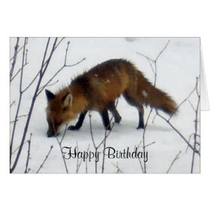 Birthday Fox in Snow Card