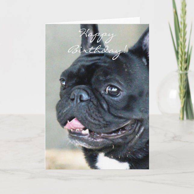 Birthday French Bulldog dog Card (Front)