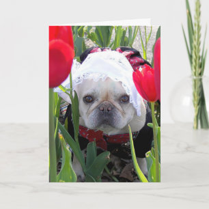 Birthday French Bulldog In a Dutch Tulip Garden Card