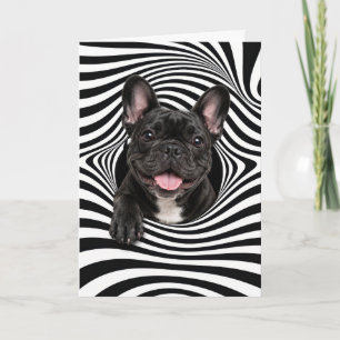Birthday French Bulldog in Abstract Striped Hole Card