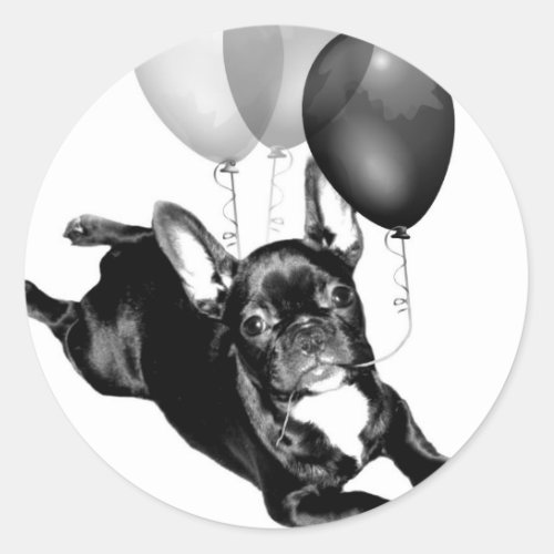 Birthday French Bulldog stickers