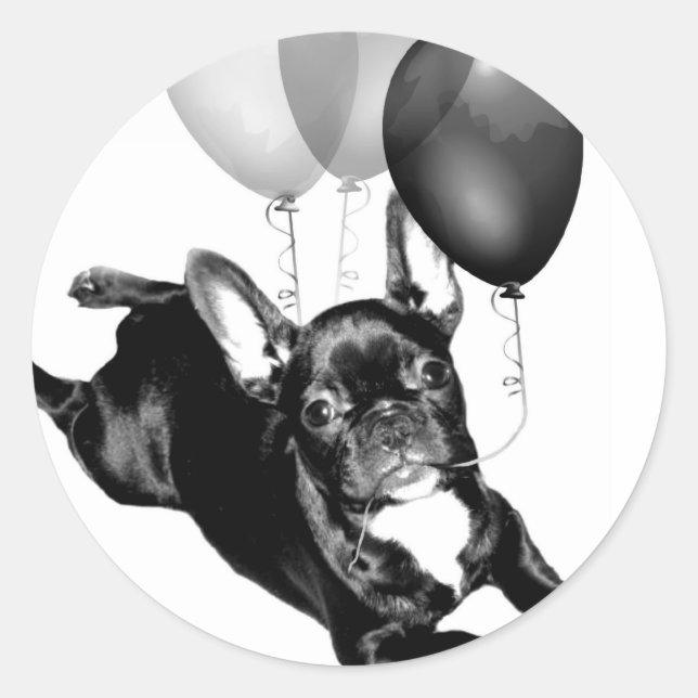 Birthday French Bulldog stickers (Front)