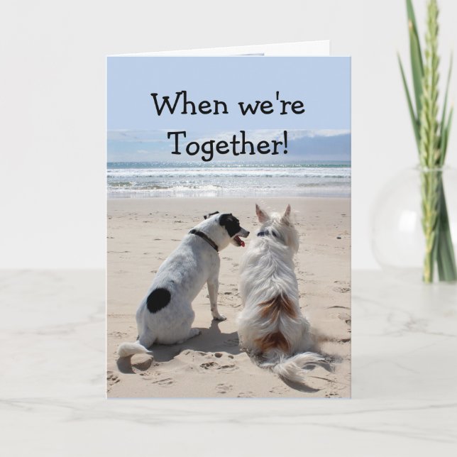 Birthday Friend Cute Dogs Humor  Card (Front)