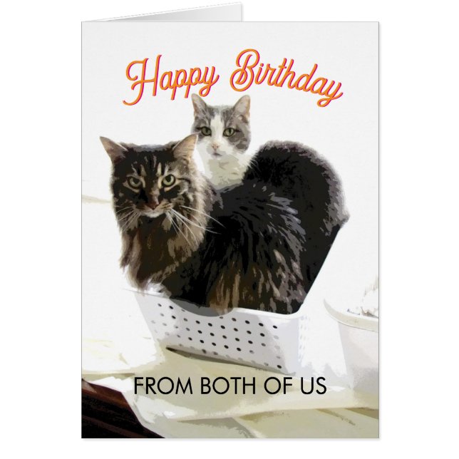 Birthday From Both Of Us Cute Cat Art  Cards (Front)