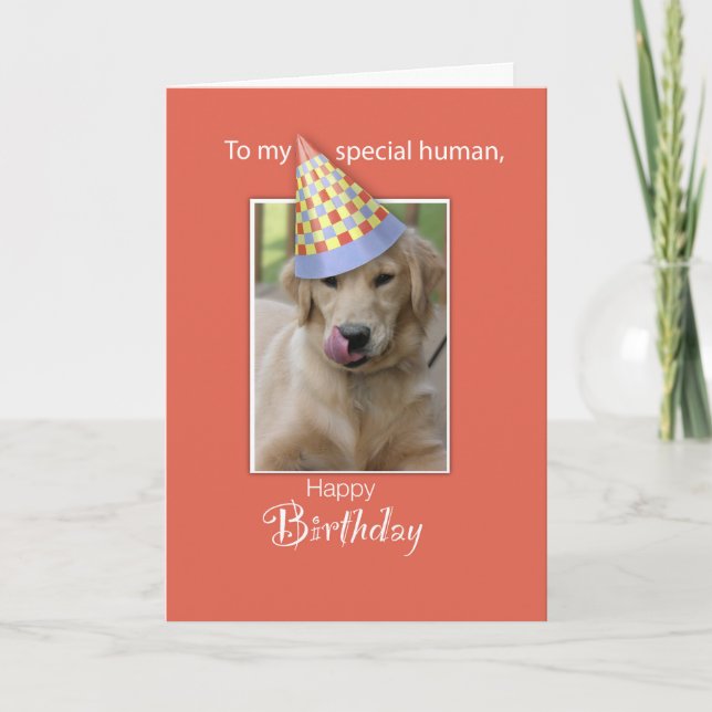 Birthday From Dog to Human, Humor, Orange, Funny H Card (Front)