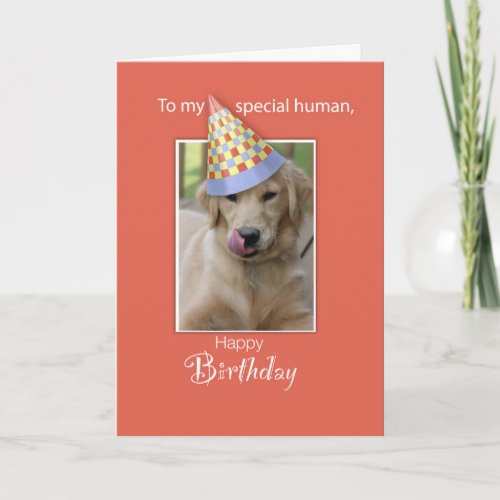 Birthday From Dog to Human Humor Orange Funny H Card