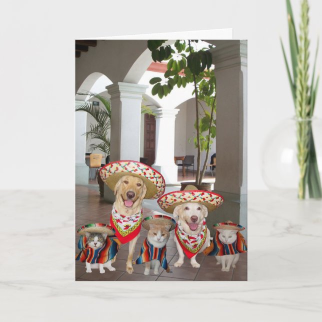 Birthday from group in Spanish Card (Front)