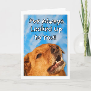 Birthday From the Dog Golden Retriever Card
