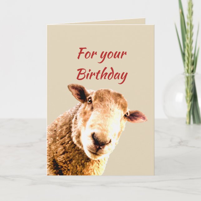 Birthday Fun  Funny Sheep Animal Humor Card (Front)