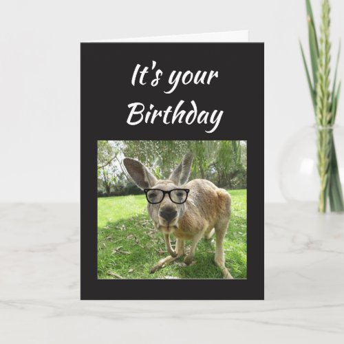 Birthday Fun Kangaroo Australia Animal art Card