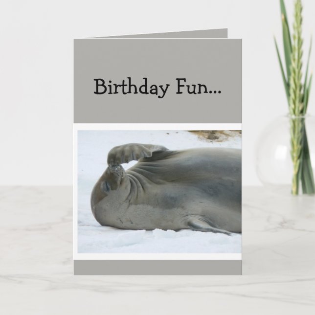 Birthday Fun Laughing Seal Age Humor Card (Front)