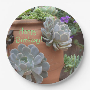 Birthday Fun With Succulents Paper Plates