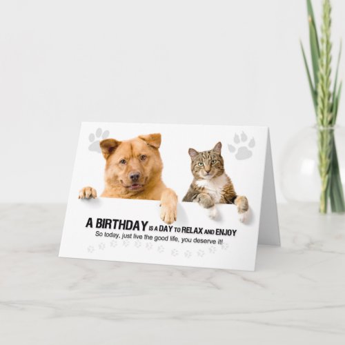 Birthday Funny Cat and Dog on White for Pet Lover Card