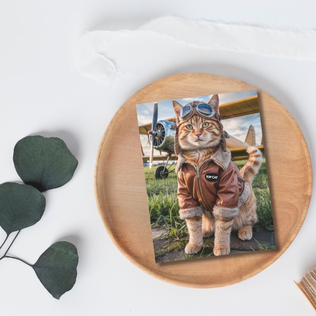 Birthday Funny Cat Pilot & Airplane Aviation Pet Postcard (Front )