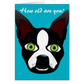 Birthday Funny Retro Boston Terrier Rescue Dog (Front)