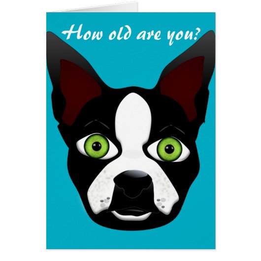 Birthday Funny Retro Boston Terrier Rescue Dog (Front)