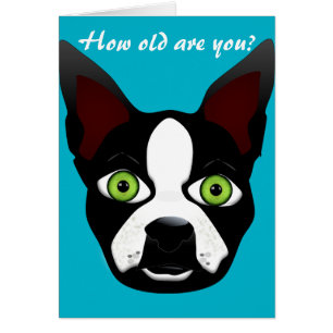 Birthday Funny Retro Boston Terrier Rescue Dog Cards