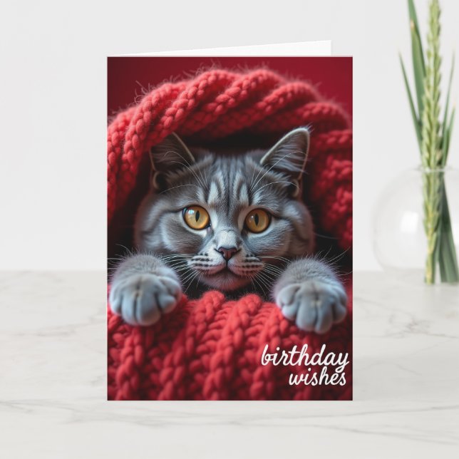 Birthday Gaze Cat Card (Front)
