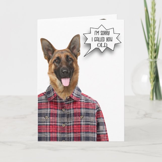 Birthday German Shepherd Dog Humor Card (Front)