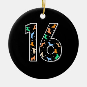 Birthday Gift   16th Birthday With Dog Ceramic Ornament