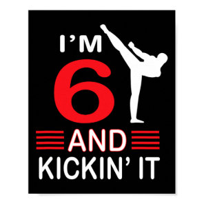 Birthday Gift Martial Arts Gift Boys Girls  Poster