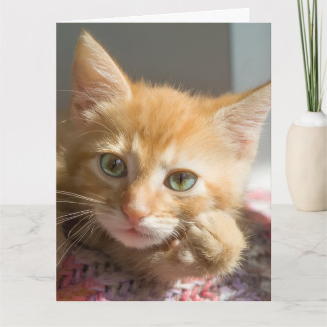 BIRTHDAY GINGER CAT KITTEN GREETING CARD (Front)