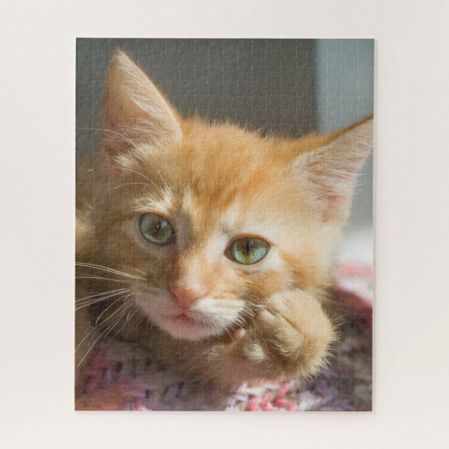 BIRTHDAY GINGER CAT KITTEN  JIGSAW PUZZLE (Vertical)