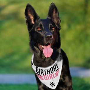 Birthday Girl Black Text Pink Stripes Pet Bandana Collar