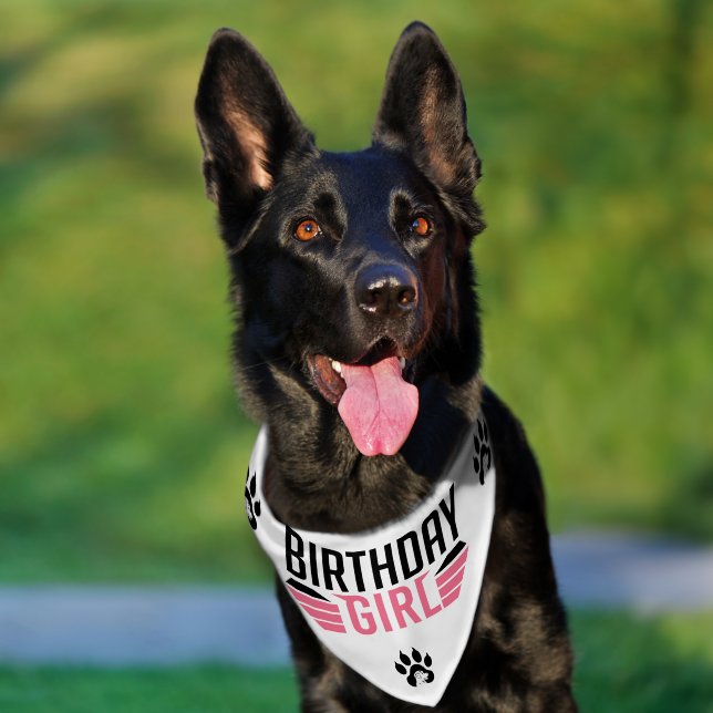 Birthday Girl Black Text Pink Stripes Pet Bandana Collar (Dog)