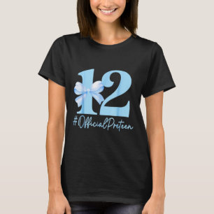 Birthday Girl Blue Coquette Bow 12 Year Old Offici T-Shirt