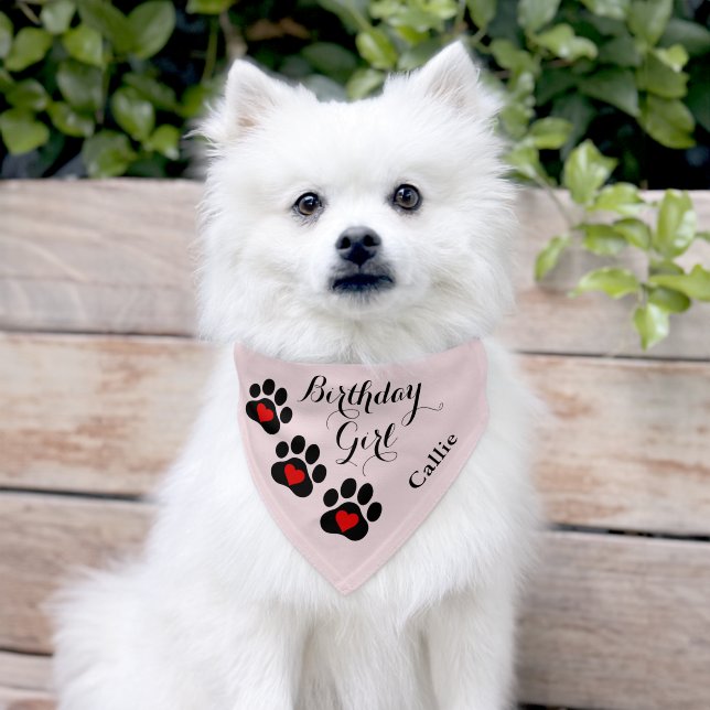 Birthday Girl Heart Paw Prints Name Pet Bandana Collar (Dog)