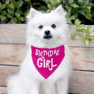 Birthday Girl Pet Bandana Collar